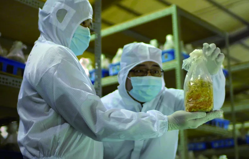 惠瑜岳生技團隊